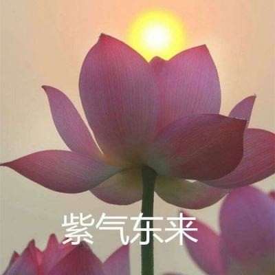麻将胡了-麻将胡了下载最新版V2.34.72.54 -安卓版